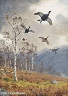 约翰.哈里森草地树林飞鸟风景画