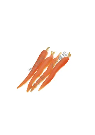 黄辣椒抽象矢量图