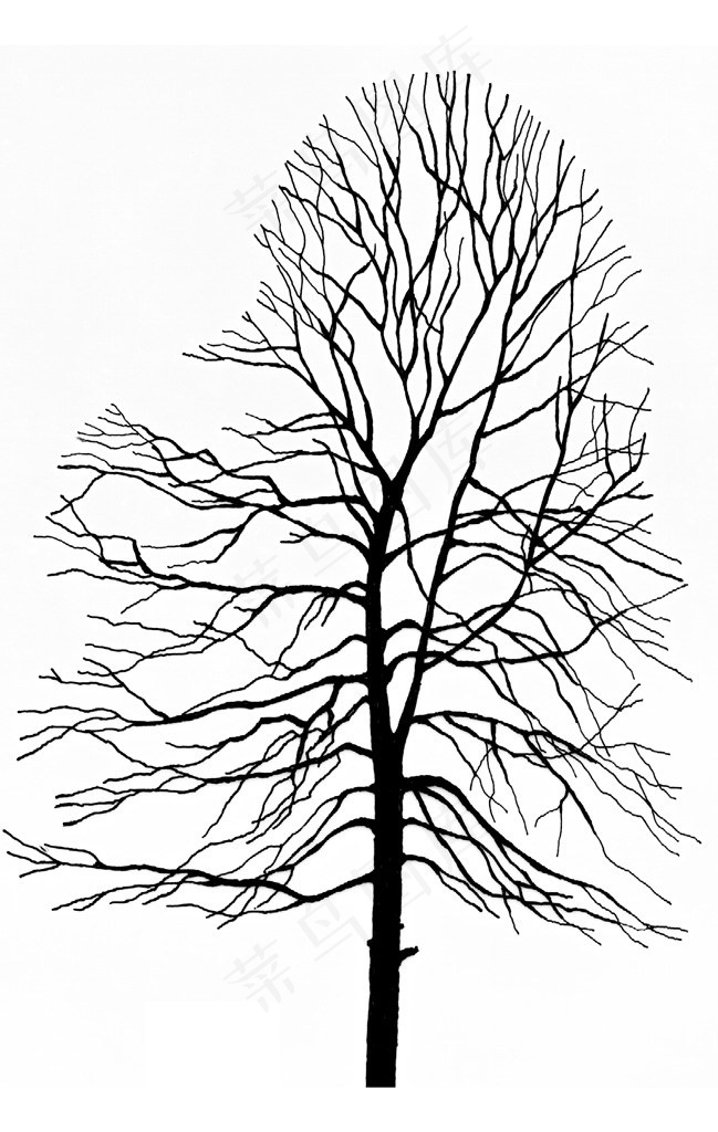 树木手绘矢量图
