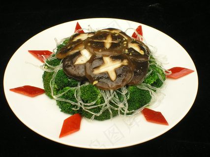 0481兰香金丝菇sdf