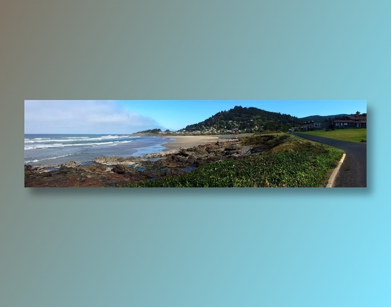 海岸边的视野