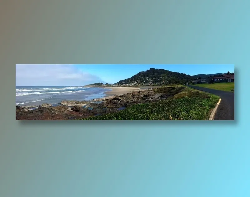 海岸边的视野