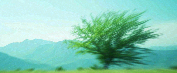 高山模糊绿树植物光影，大自然摄影图(1712x704)