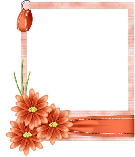 图片,相框PNG免抠