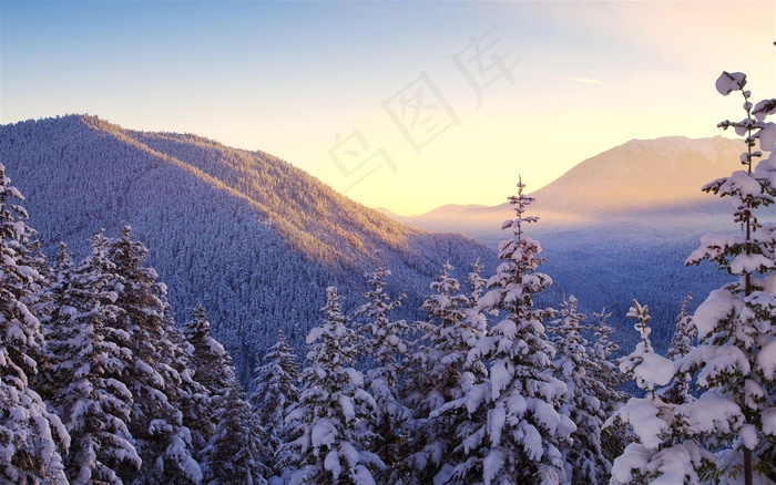 雪山与树挂