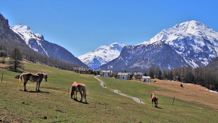 冬天自然背景风景