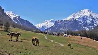 冬天自然背景风景