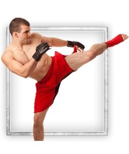 综合格斗 PNG, MMA PNG免抠(256x305)