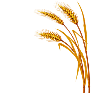 现代农业卡通麦穗