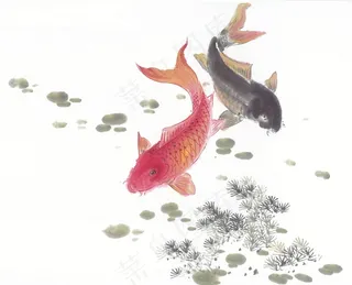 国画鱼虾蟹龟系列美图素材