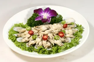 4双椒竹蛏  昭君