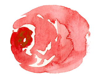 唯美森系手绘水彩花朵 免抠