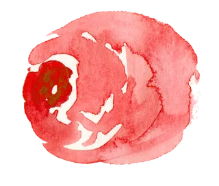 唯美森系手绘水彩花朵 免抠