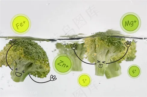 健康饮食西兰花水面创意合成