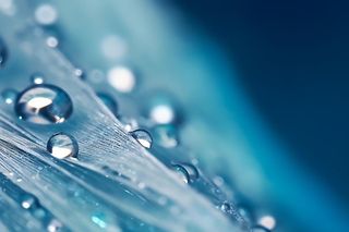 露珠蓝色清新大气背景