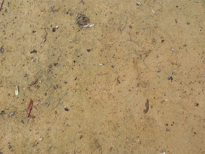 泥沙地面背景图片