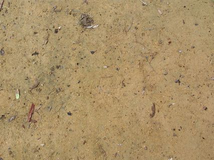 泥沙地面背景图片