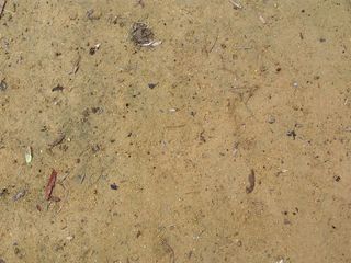 泥沙地面背景图片