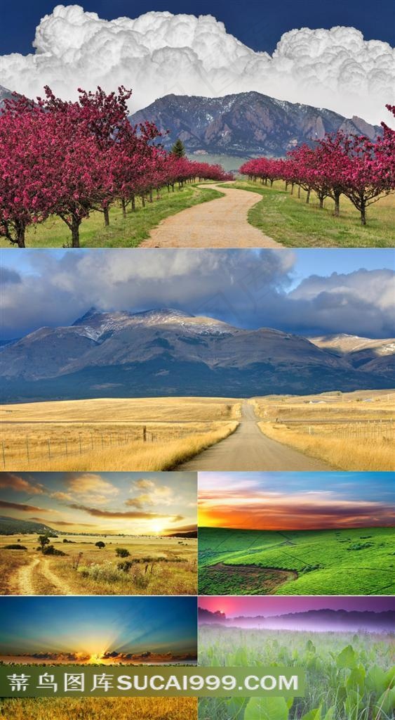 唯美迷人草原景观摄影素材