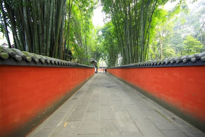 竹林下的红色围墙图片