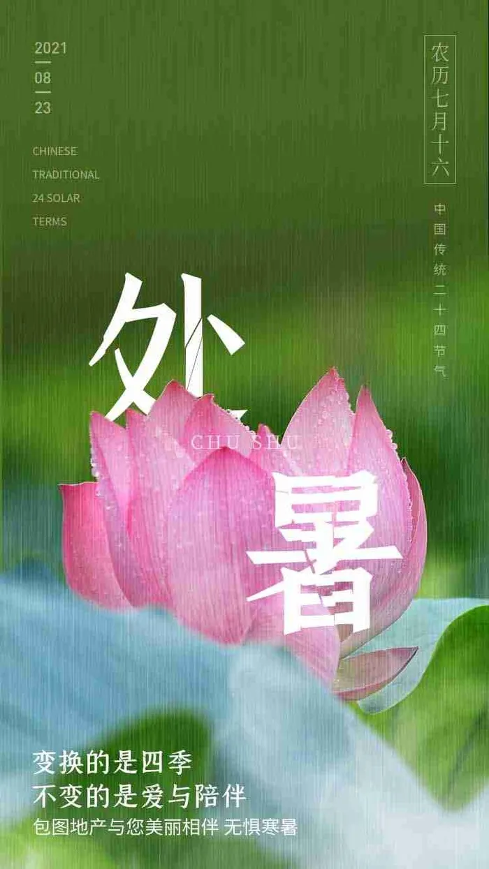 绿色荷花中国传统节日处暑节气宣传海报H5