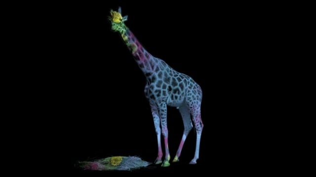 长颈鹿, 动物, 抽象, 图案, 视觉效果, 环形