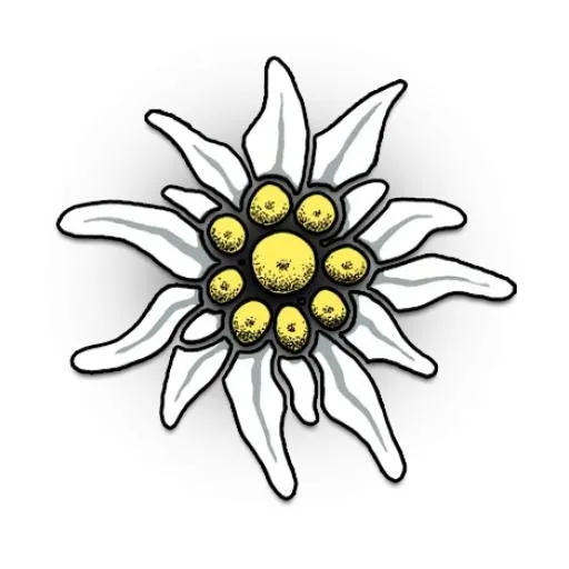 雪绒花 PNG免抠(512x512)