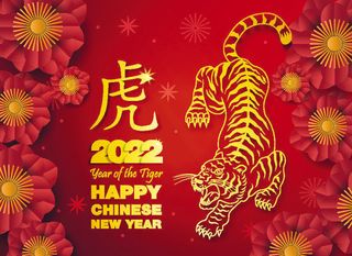 设计新年背景春节