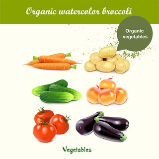 蔬菜设计矢量素材卡通食物新鲜绿色蔬菜