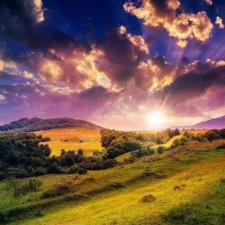 唯美的山坡清晨美景高清摄影图片