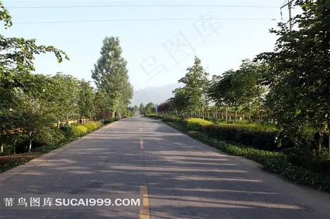 公路两旁的景观