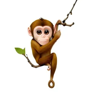 猴子动物免抠