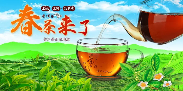 春茶上市茶叶背景psd模版下载