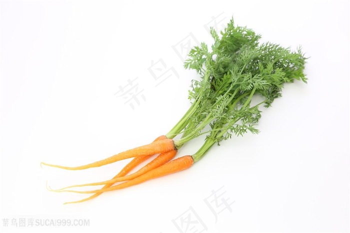 唯美素食胡萝卜图片