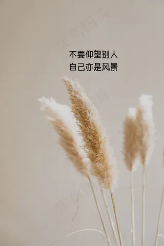 正能量励志带字图片