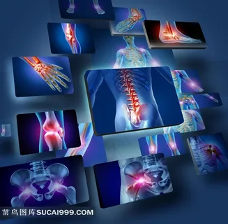 医疗透视系列 - 唯美人体透视