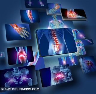 医疗透视系列 - 唯美人体透视