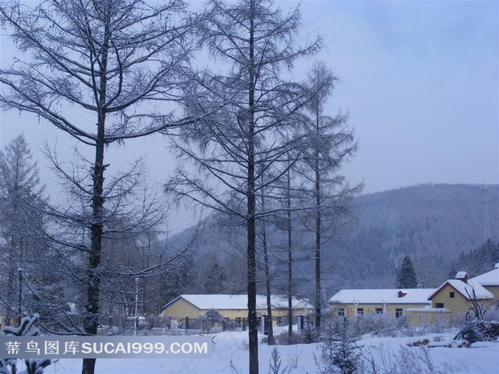 山村冬雪风光摄影图片