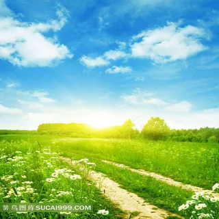 田园风光风景图片