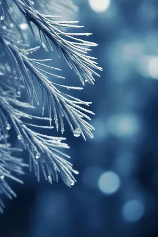 冰雪枝叶蓝色背景