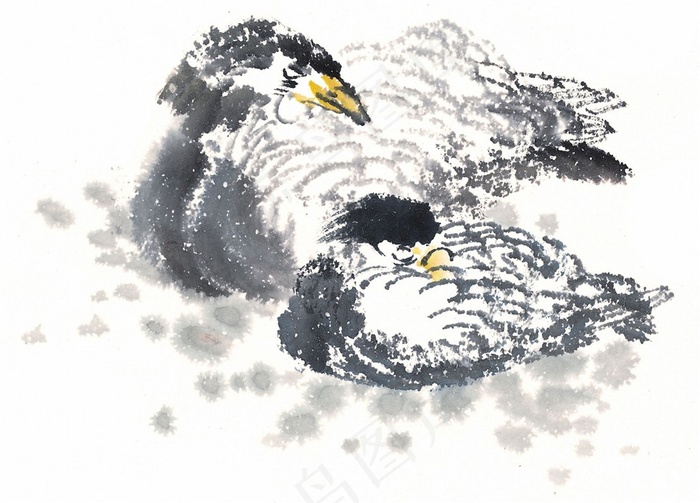 画鸟文化艺术美图素材