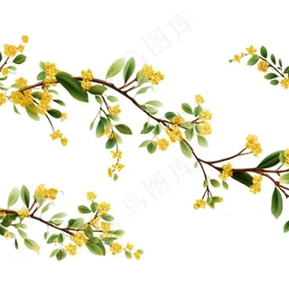 桂花黄花树枝免抠
