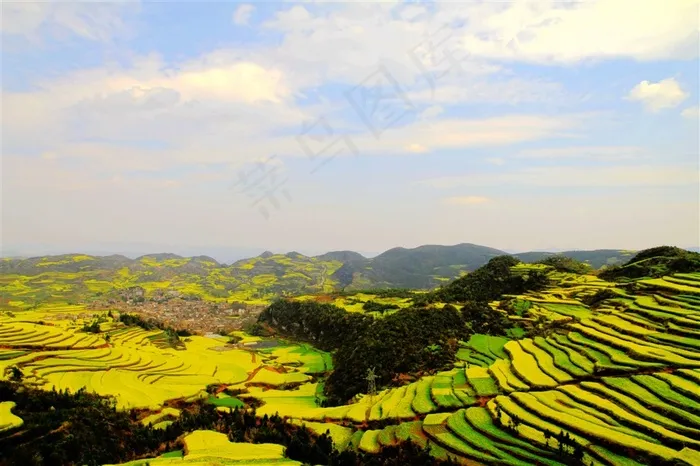 山村的田野梯田风景
