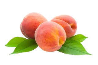 桃子 (14)水果超市商品白底图免抠实物摄影png格式图片透明底