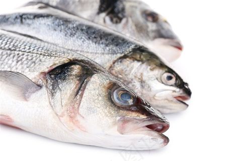 柠檬与鱼摄影高清图片