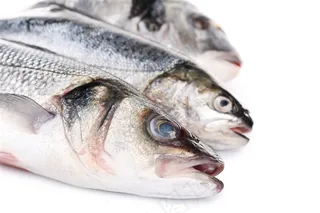 柠檬与鱼摄影高清图片