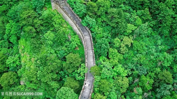 鸟瞰绿色植物包裹的万里长城图片 鸟瞰绿色植物包裹的万里长城图片