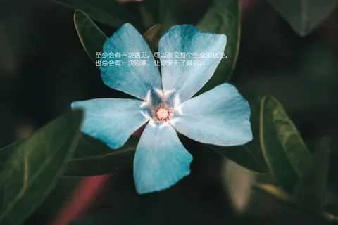 愿一切安好的唯美图片 愿一切安好的唯美图片