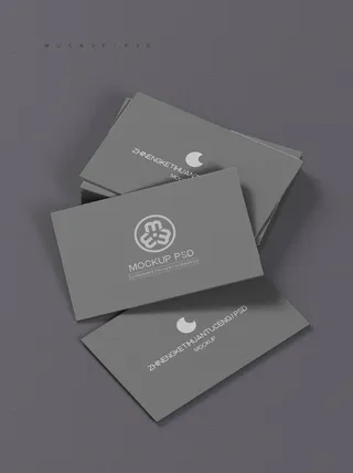 高端大气商务名片样机