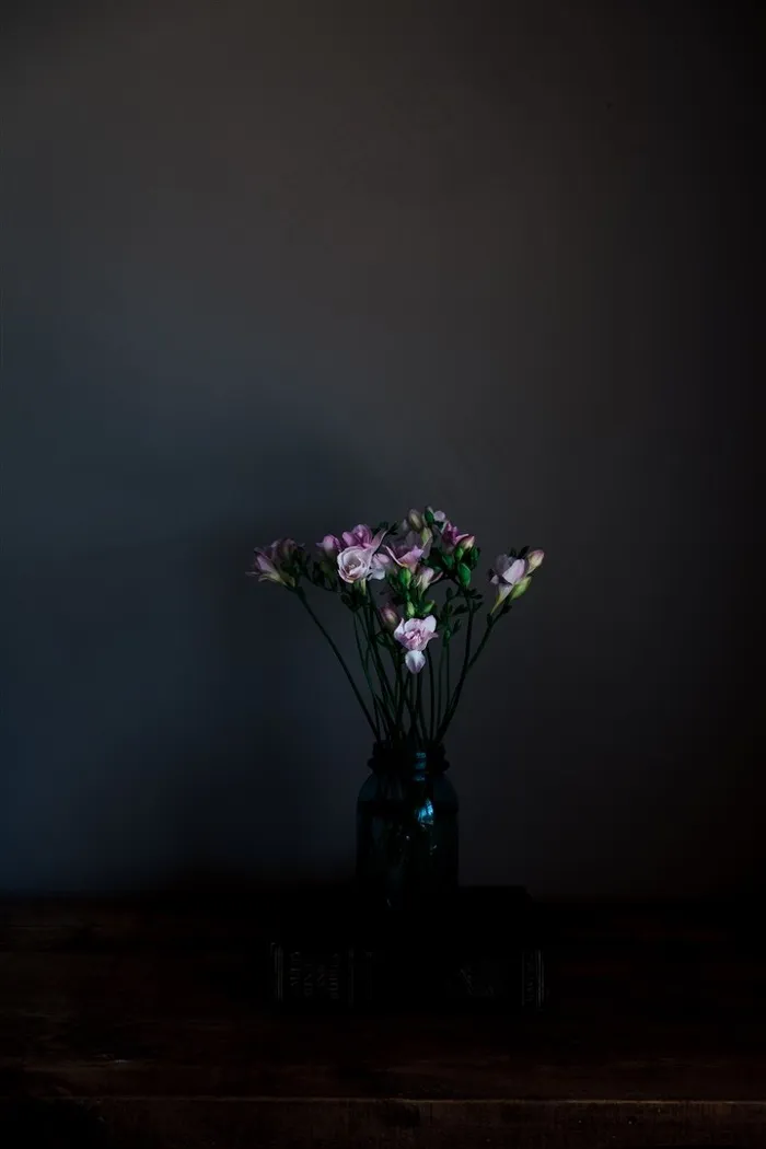 插花的花瓶摄影